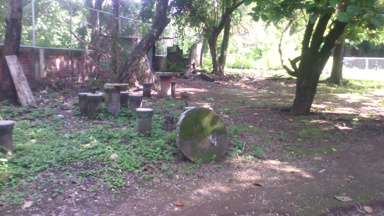 Inicio Parque Infantil 2019